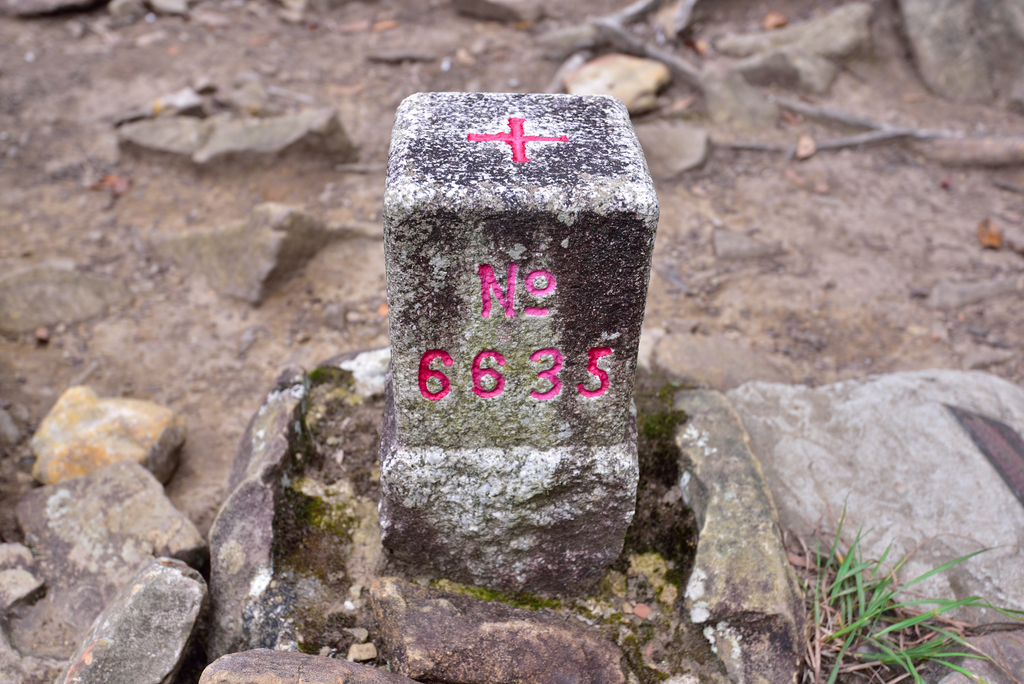 DSC_5318_7235.JPG - 20200905上島山
