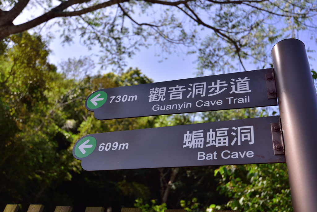 DSC_2693_5995.JPG - 0315三民蝙蝠洞登金平山