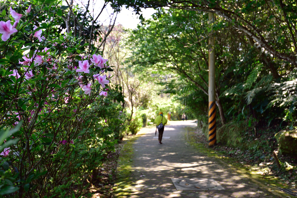 DSC_2696_5997.JPG - 0315三民蝙蝠洞登金平山