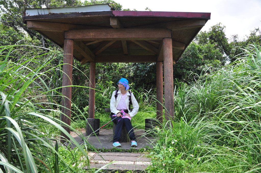 DSC_2919.JPG - 2017青山瀑布健行順遊富貴角燈塔