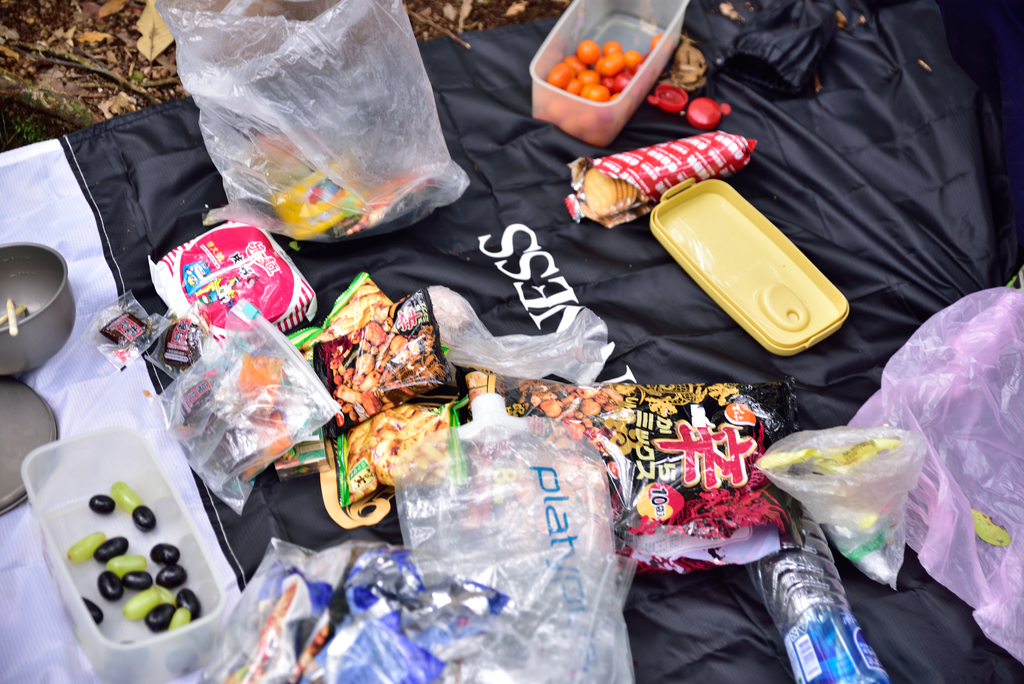 DSC_5686_2036.JPG - 2018加里山