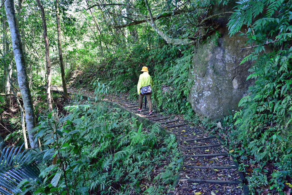 DSC_2739_6015.JPG - 0315三民蝙蝠洞登金平山