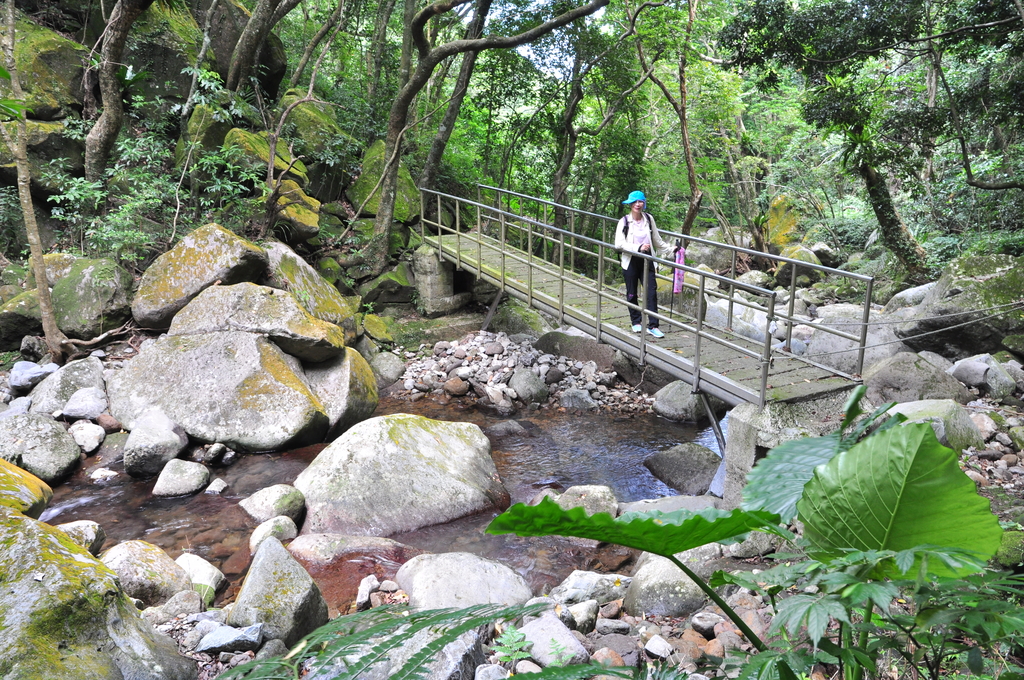DSC_2923.JPG - 2017青山瀑布健行順遊富貴角燈塔