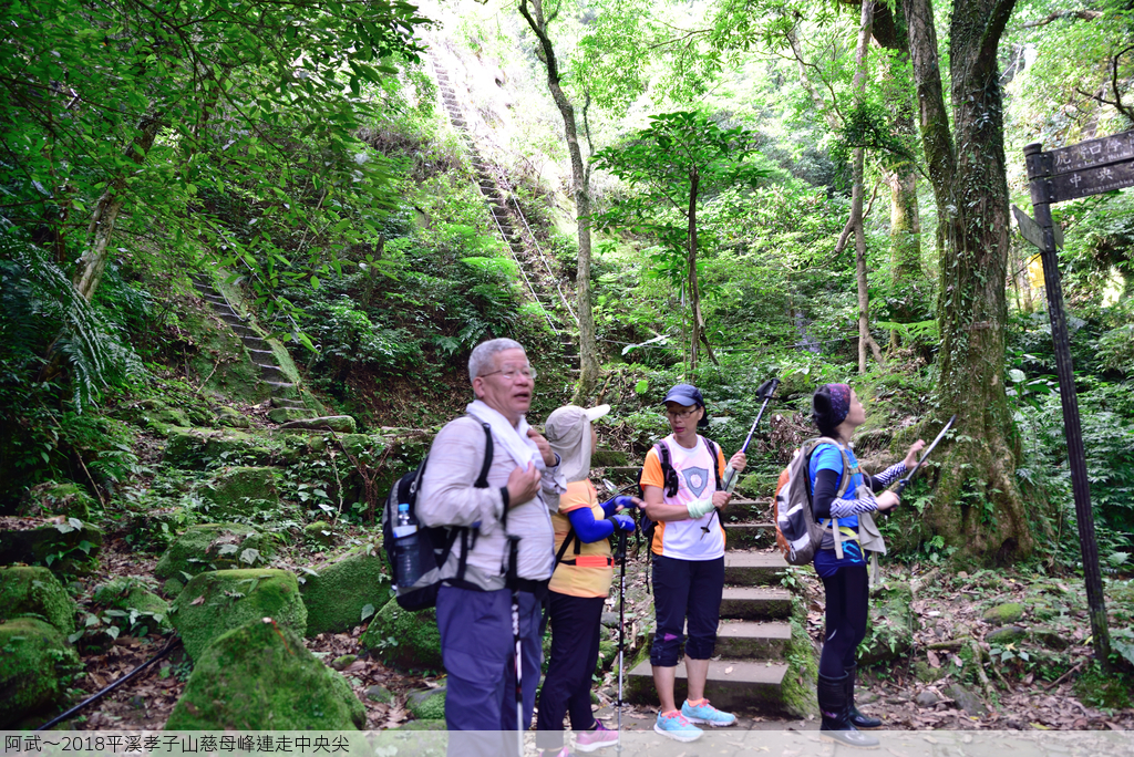 DSC_5870_2219.JPG - 2018平溪孝子山