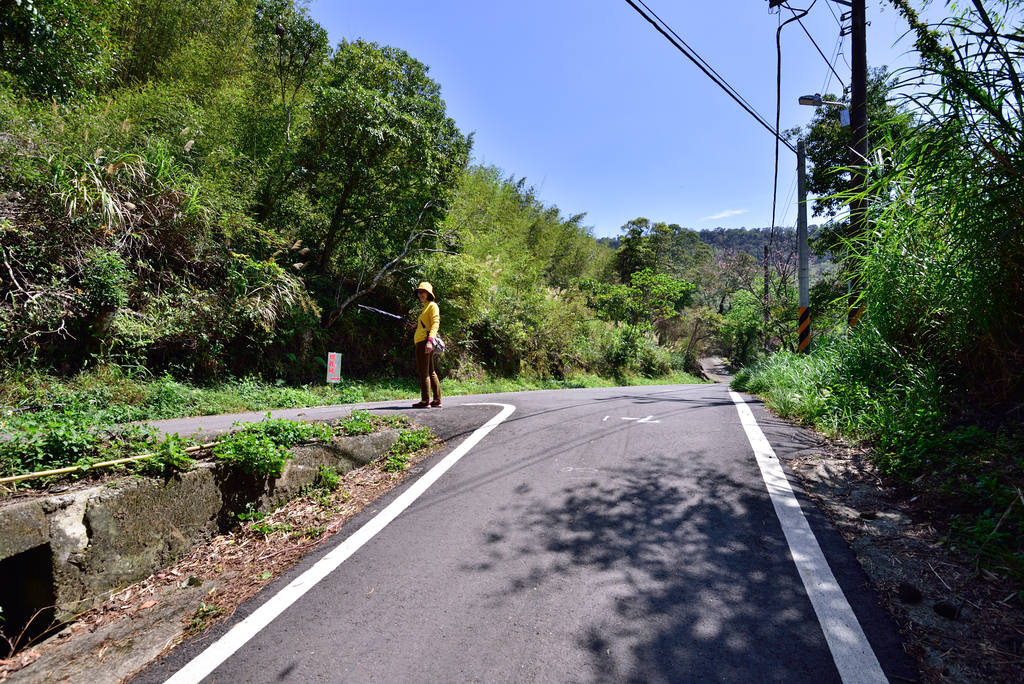 DSC_2763_6024.JPG - 0315三民蝙蝠洞登金平山