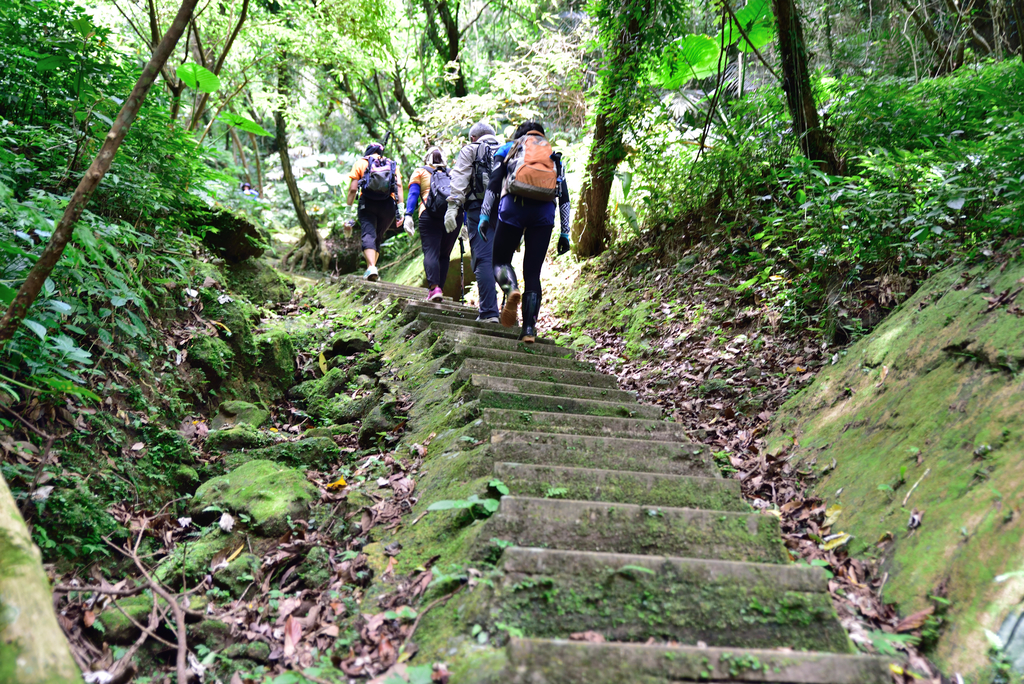DSC_6195_2417.JPG - 2018平溪孝子山