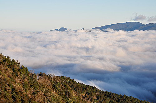 太平山山毛櫸國家步道 見晴步道