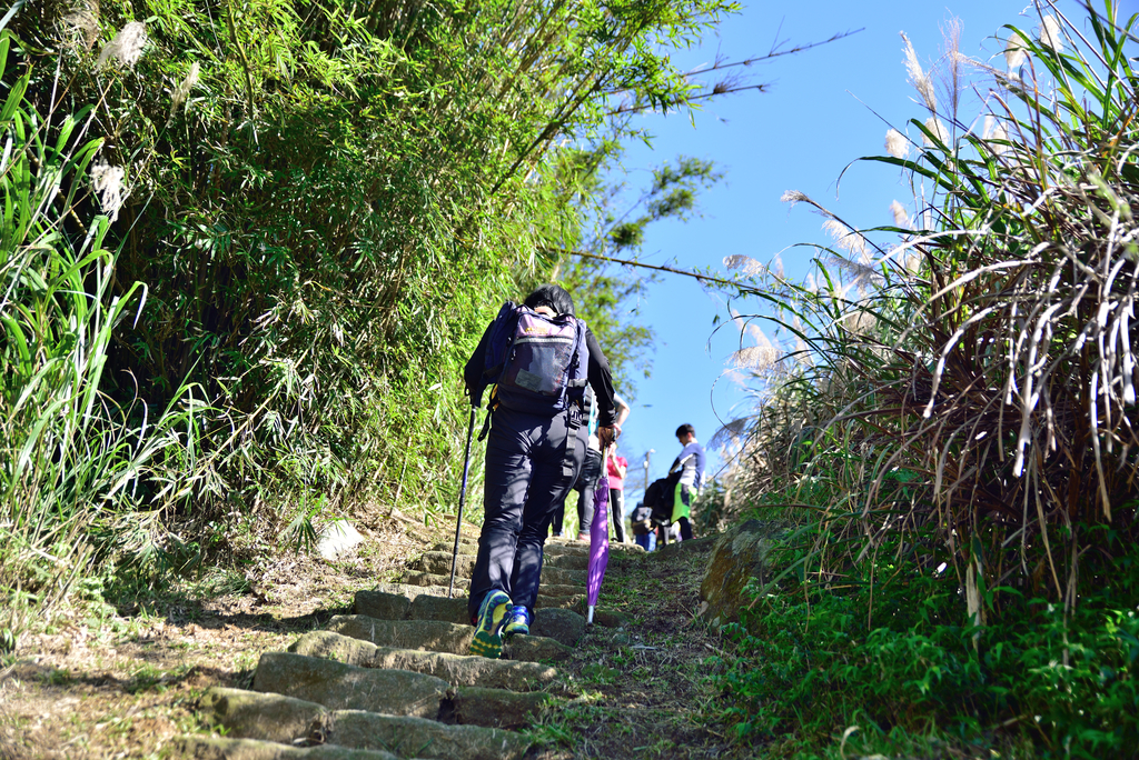 DSC_3302_660.JPG - 2017風櫃嘴登竹篙山