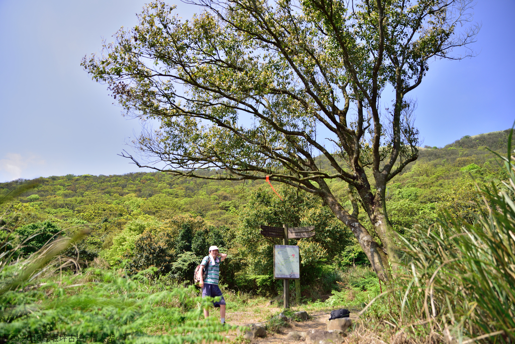 DSC_5333_1798.JPG - 2018鹿崛坪古道+情人湖