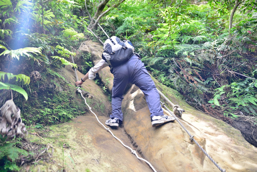 DSC_6226_2440.JPG - 2018平溪孝子山