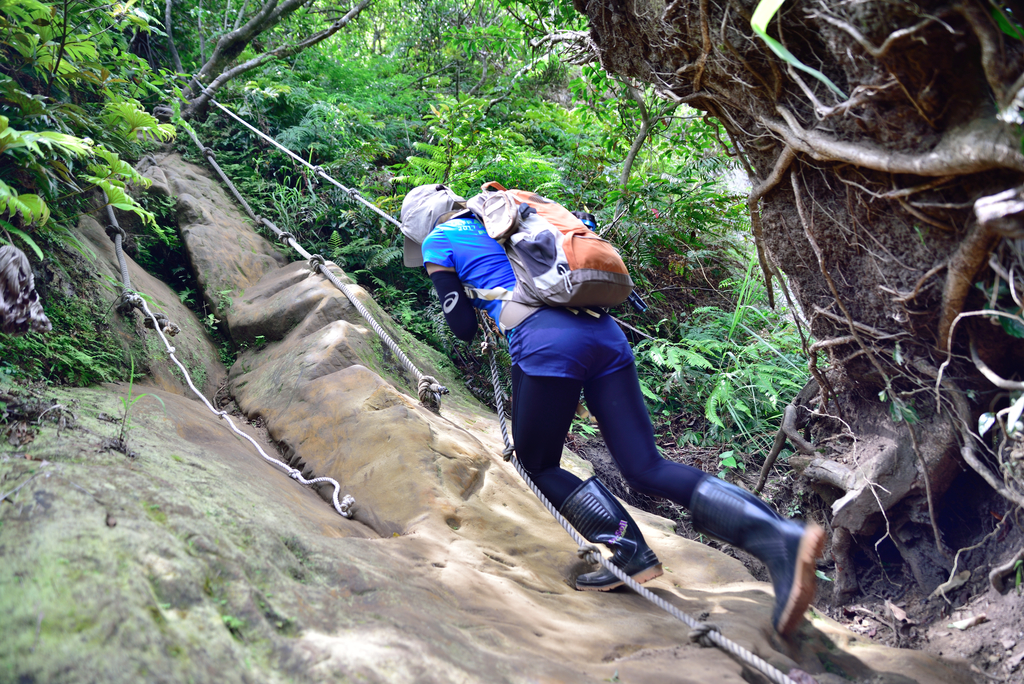 DSC_6204_2422.JPG - 2018平溪孝子山