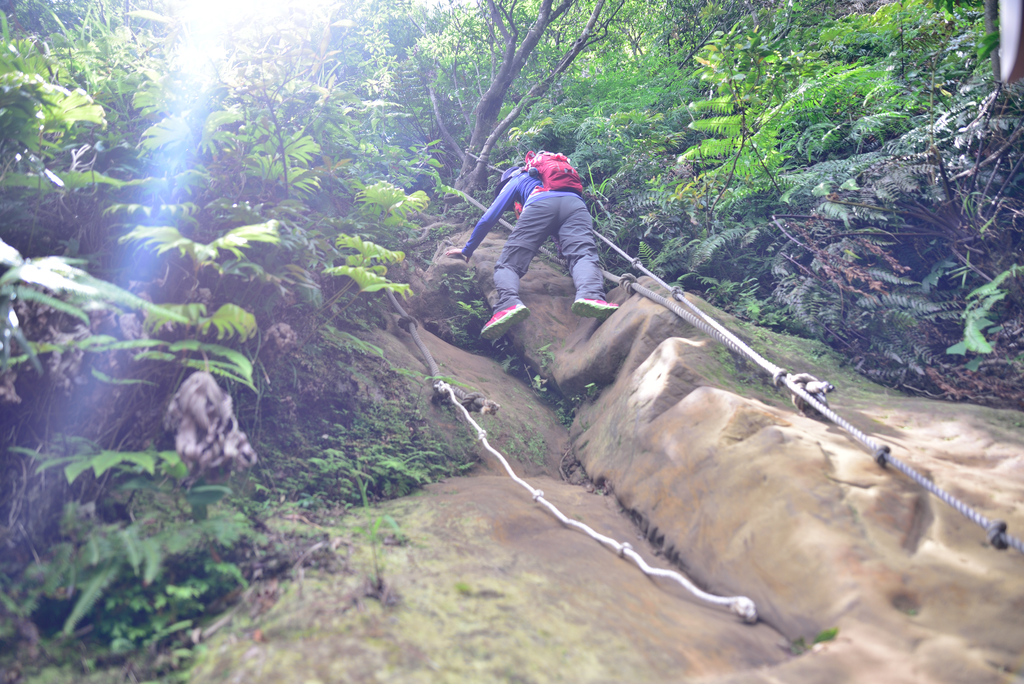 DSC_6217_2431.JPG - 2018平溪孝子山