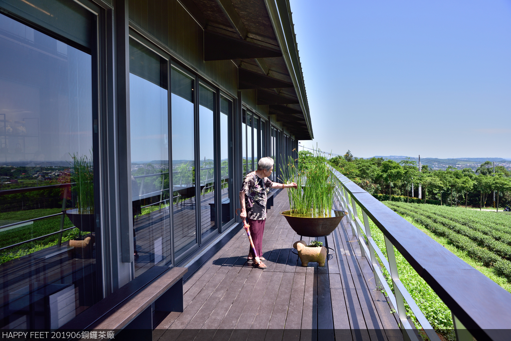 DSC_0247_4592.JPG - 0615銅鑼茶廠