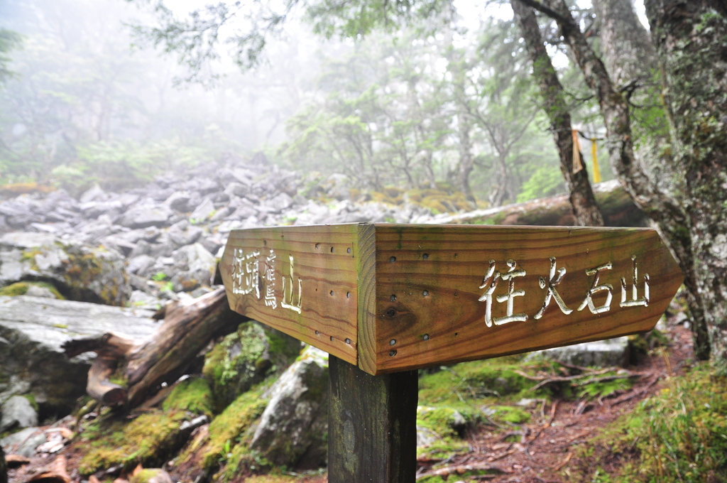 DSC_2209.JPG - 2017雪山西稜
