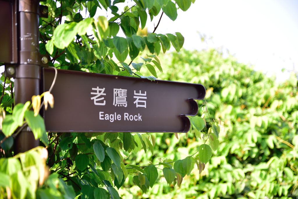 DSC_5404_1847.JPG - 2018鹿崛坪古道+情人湖