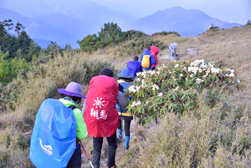 DSC_9851_4383.JPG - 南湖D5