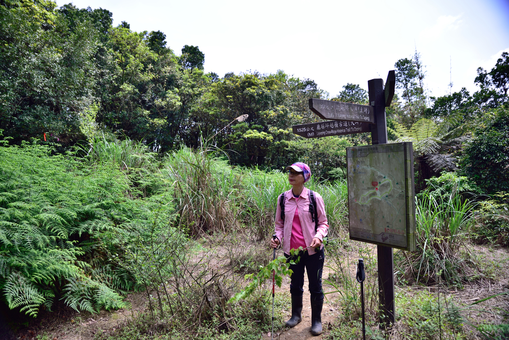 DSC_5362_1822.JPG - 2018鹿崛坪古道+情人湖