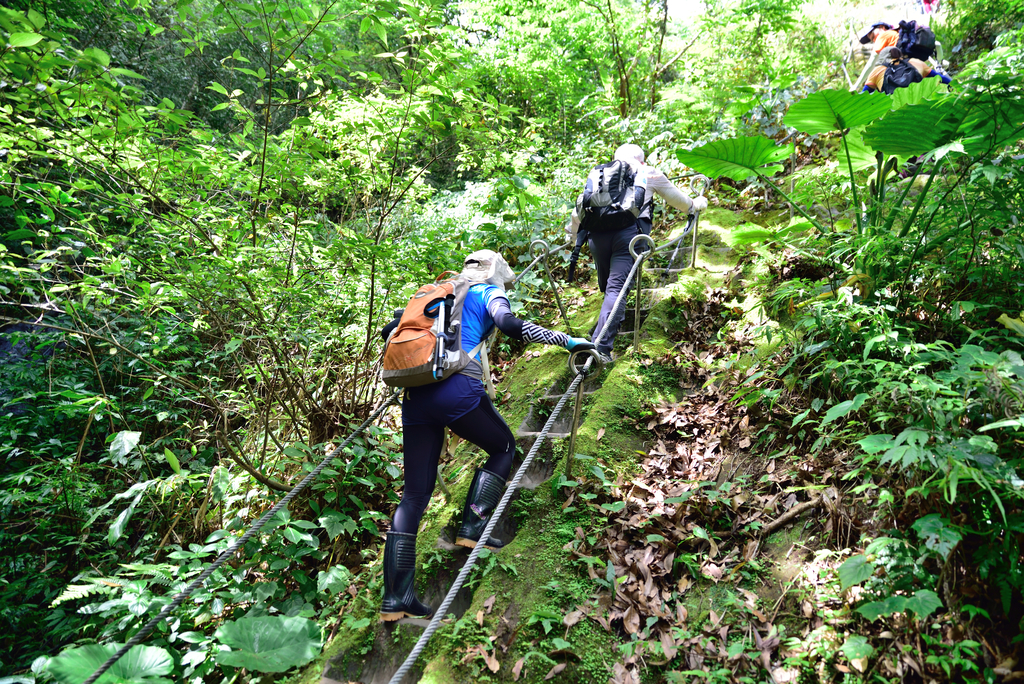 DSC_5976_2283.JPG - 2018平溪孝子山