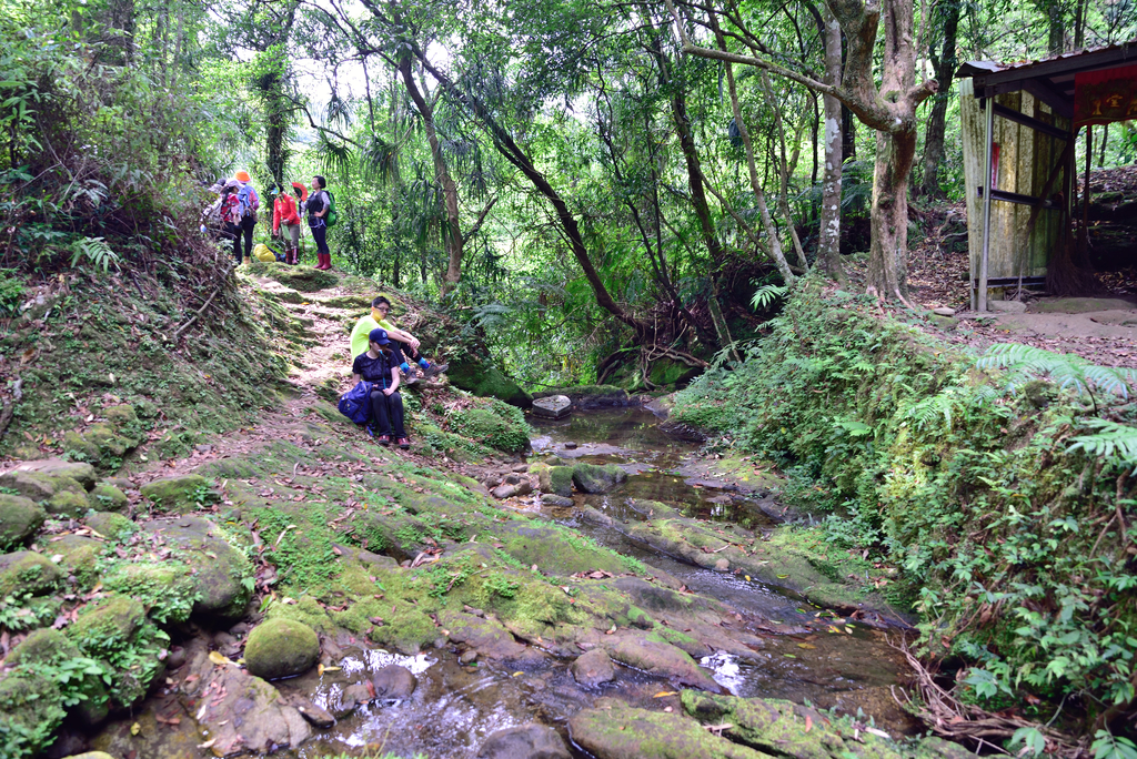 DSC_6317_2489.JPG - 2018平溪孝子山