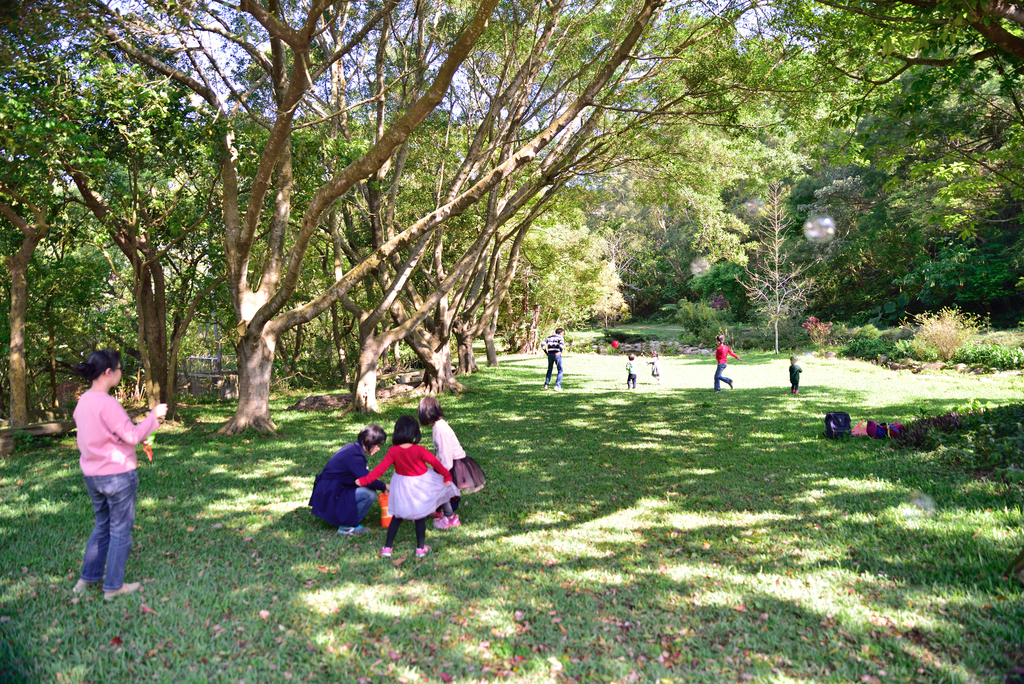 DSC_5125_1676.JPG - 魅力小鎮苑裡私房景點