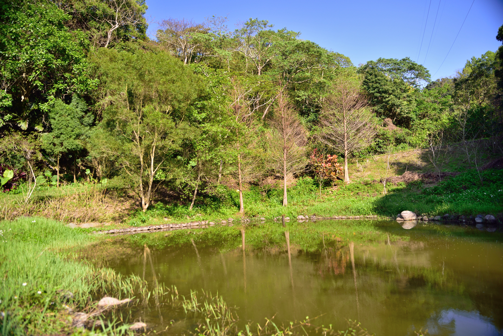 DSC_5140_1684.JPG - 魅力小鎮苑裡私房景點