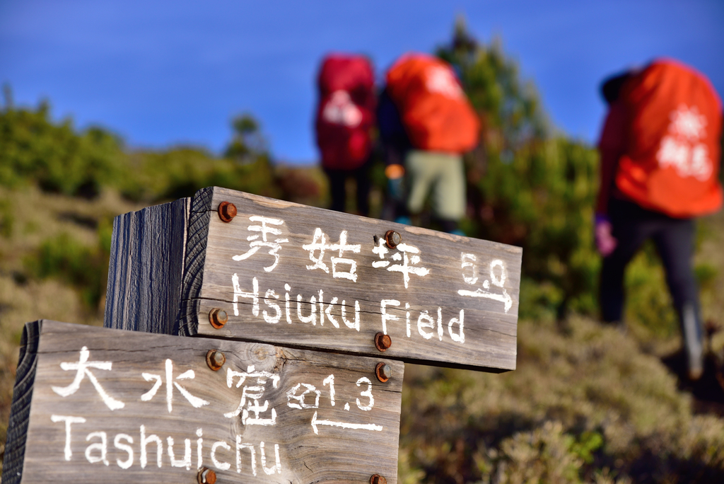 DSC_4806_6976.JPG - 南二段D5~6