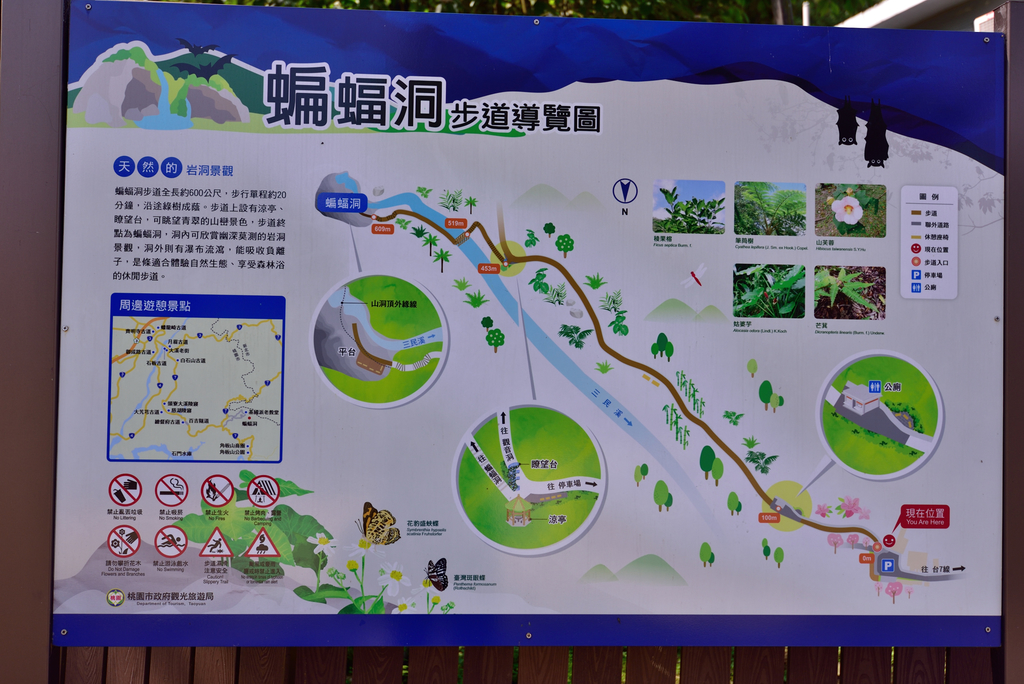 DSC_2692_5994.JPG - 0315三民蝙蝠洞登金平山