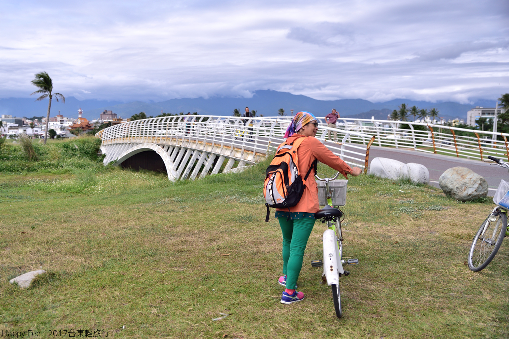 DSC_2890_488.JPG - 2017 台東輕旅行