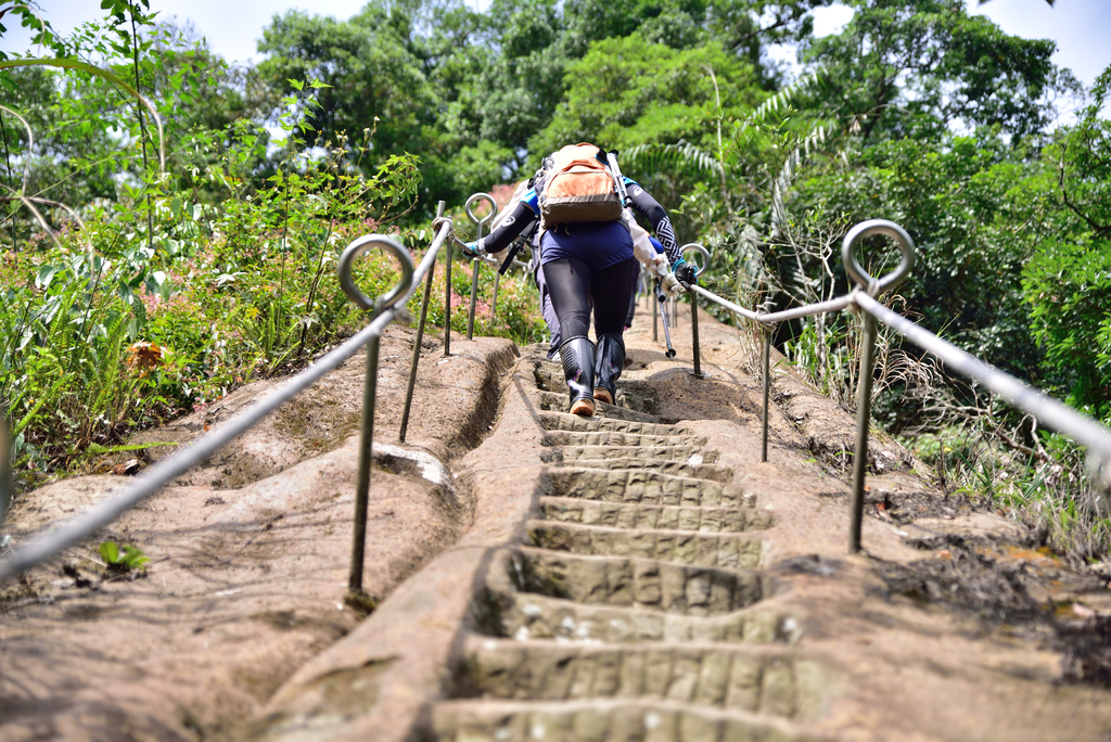 DSC_5992_2289.JPG - 2018平溪孝子山