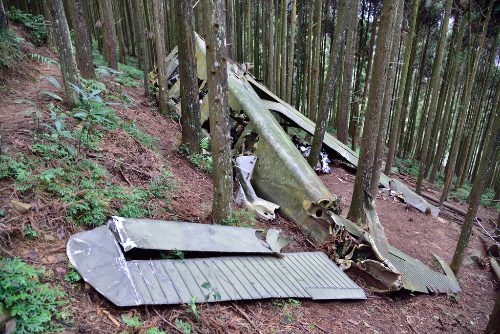 DSC_8037_3381.JPG - 2019向天湖山