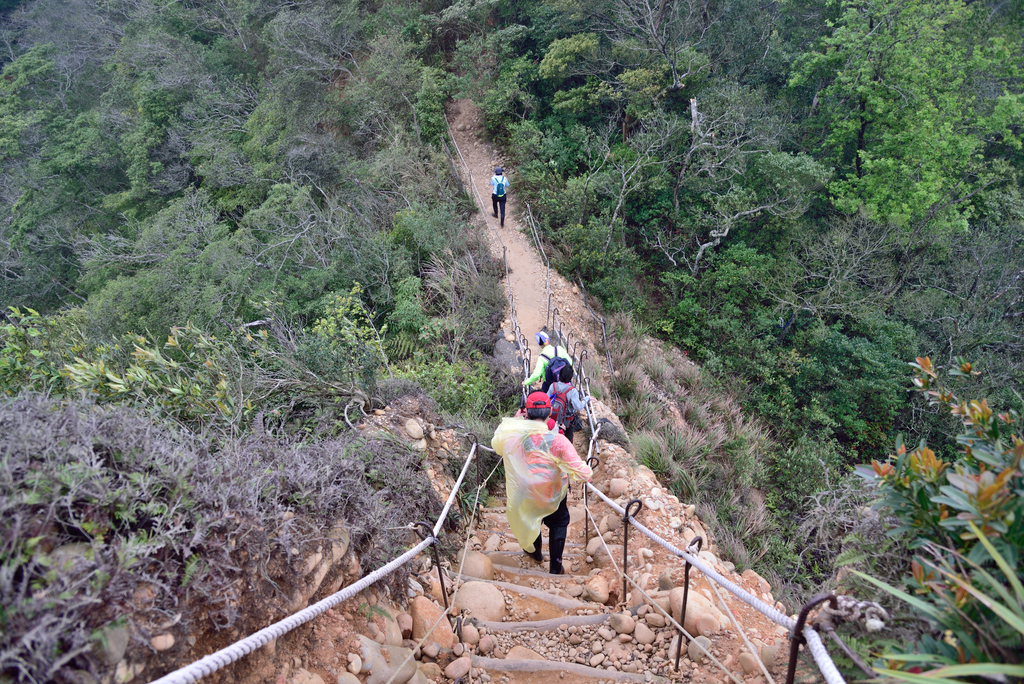 DSC_8380_3542.JPG - 2019火炎山