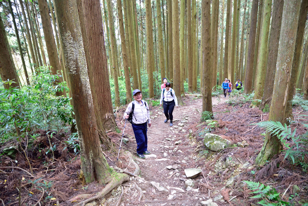 DSC_5483_1899.JPG - 2018加里山