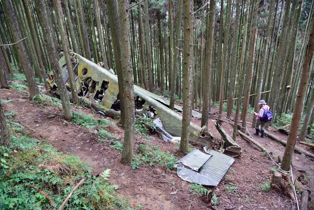 DSC_8036_3380.JPG - 2019向天湖山