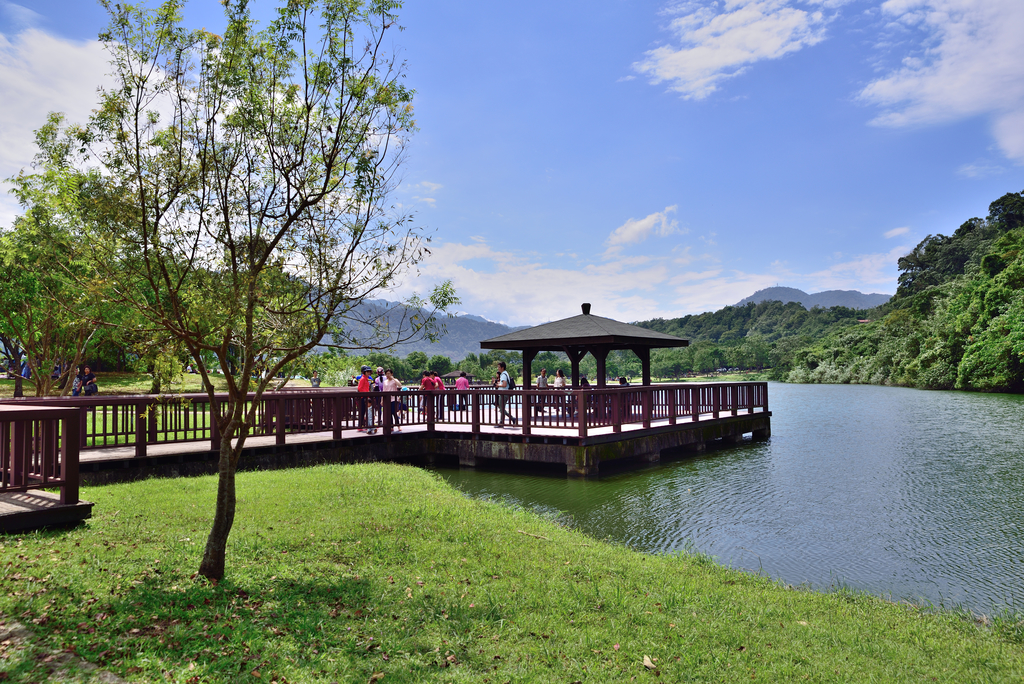 DSC_7091_2968.JPG - 2018三坑自然生態公園