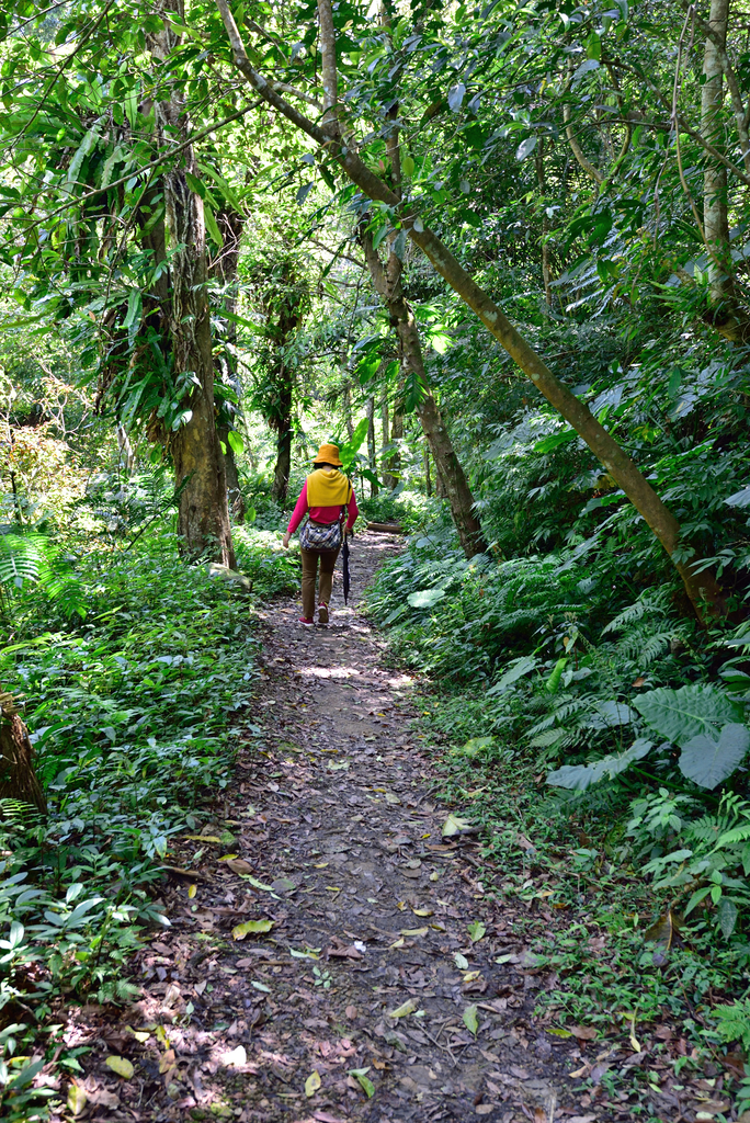 DSC_2746_6017.JPG - 0315三民蝙蝠洞登金平山