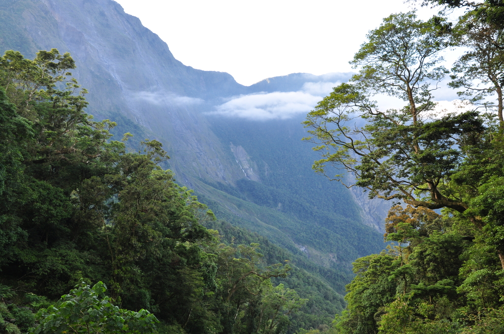 DSC_2536.JPG - 2017北大武山