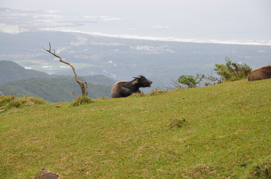 DSC_0973.JPG - 2016桃源谷健行
