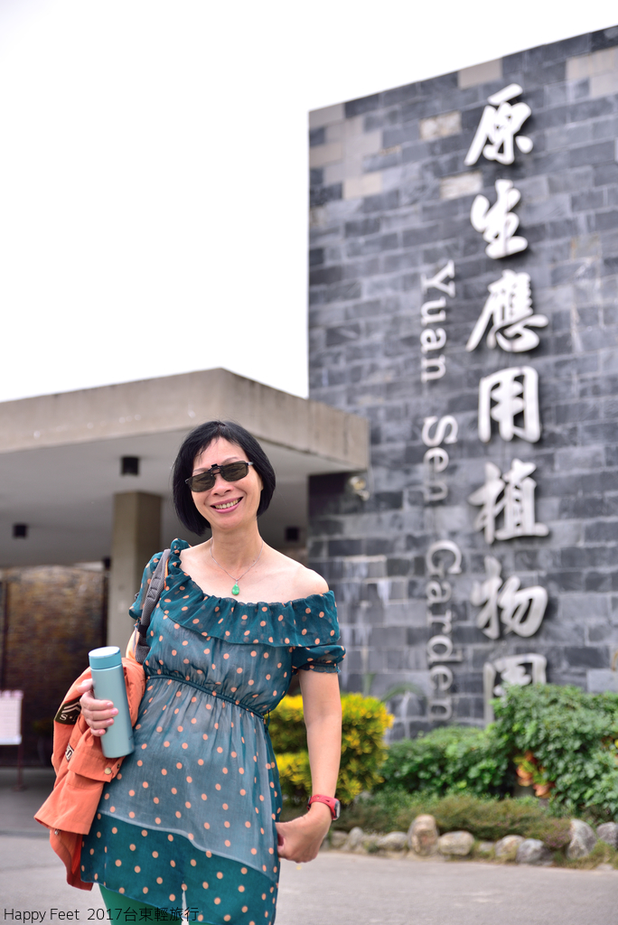 DSC_2906_497.JPG - 2017 台東輕旅行