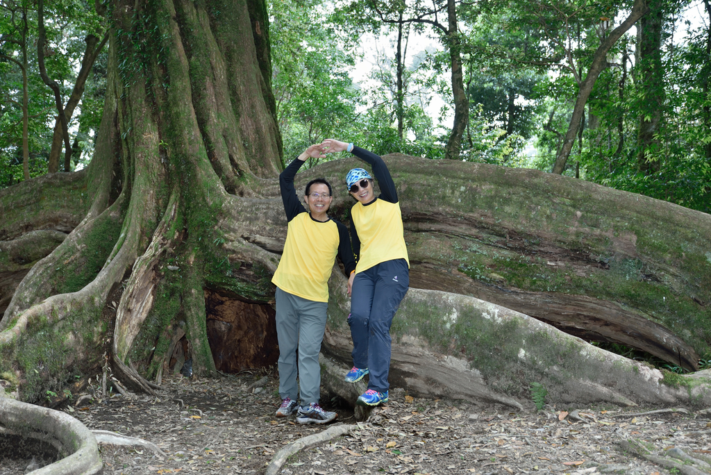 DSC_3554_6434.JPG - 0501北坑山大板根