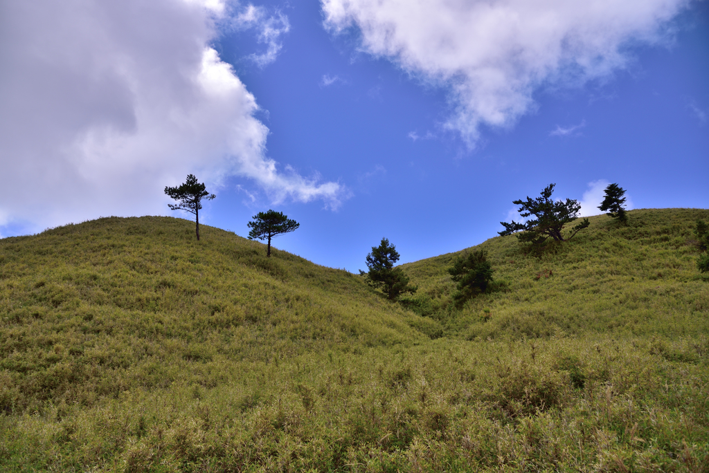 DSC_1771_5553.JPG - 2019能安縱走(下)