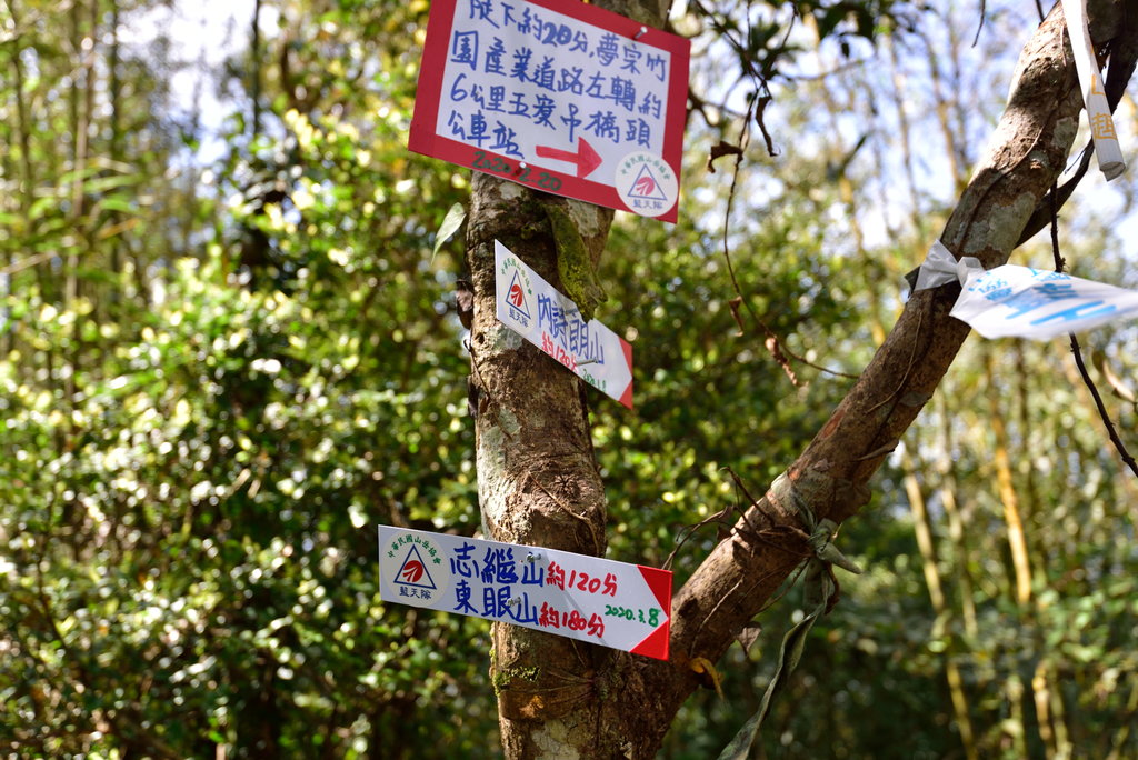 DSC_2796_6041.JPG - 0315三民蝙蝠洞登金平山