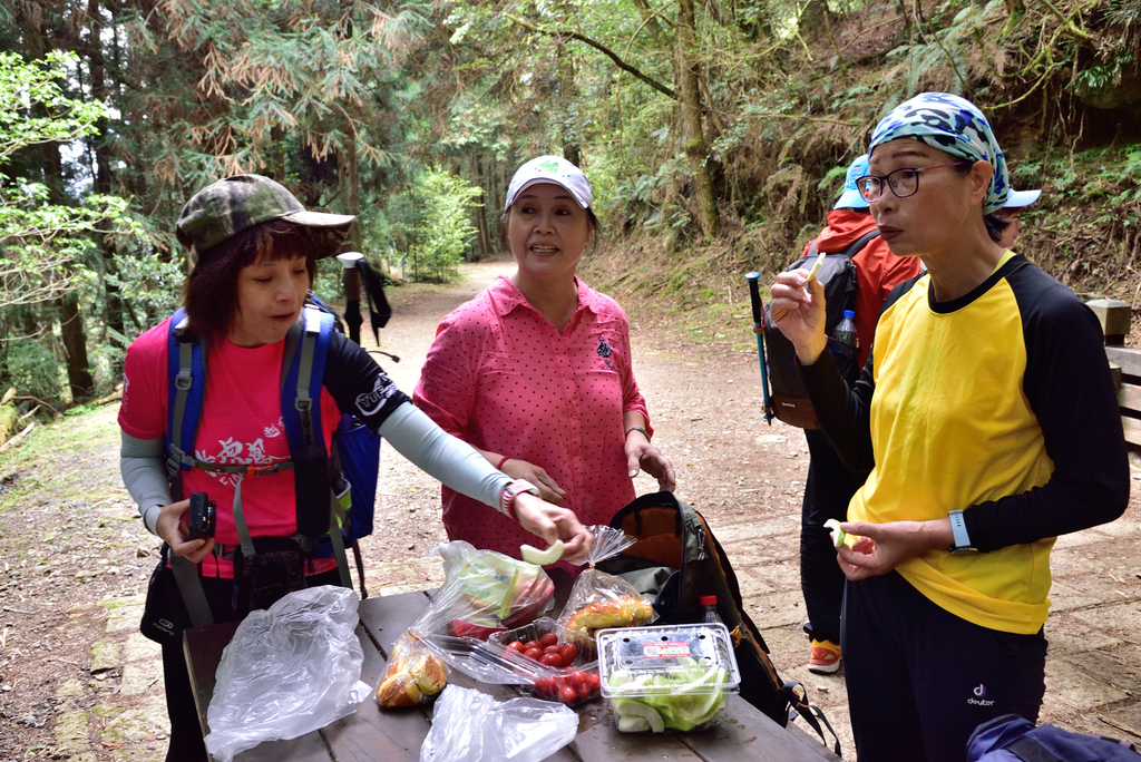 DSC_3413_6326.JPG - 0501北坑山大板根