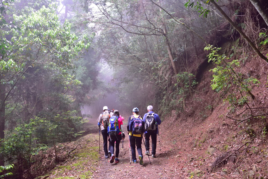 DSC_3648_6486.JPG - 0501北坑山大板根