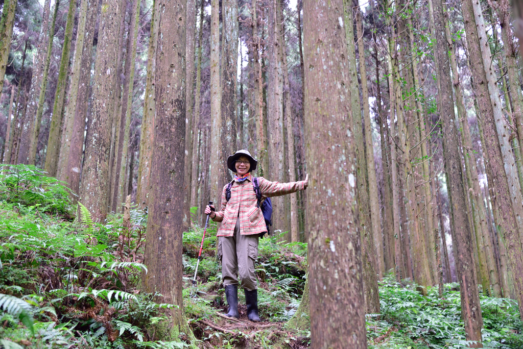 DSC_8015_3366.JPG - 2019向天湖山