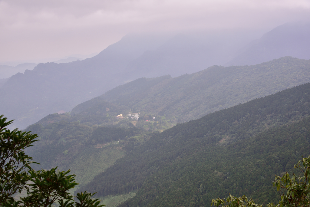 DSC_8120_3413.JPG - 2019向天湖山