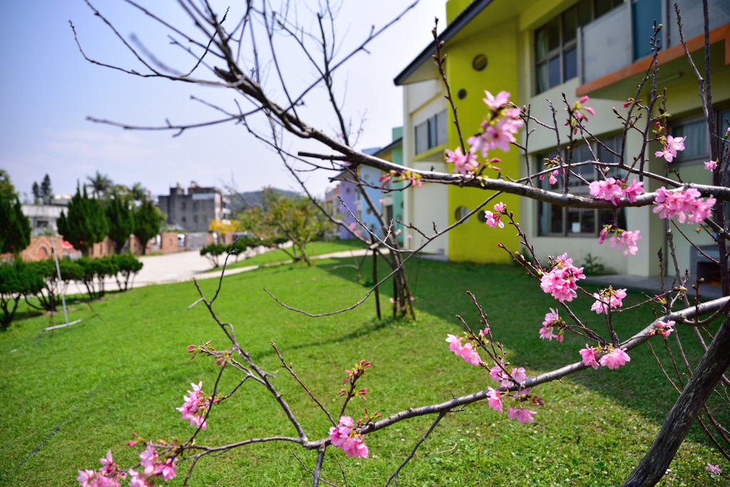 DSC_5199_1721.JPG - 魅力小鎮苑裡私房景點