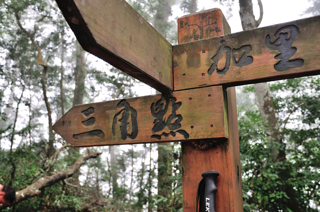DSC_4156_087.JPG - 2017虎山