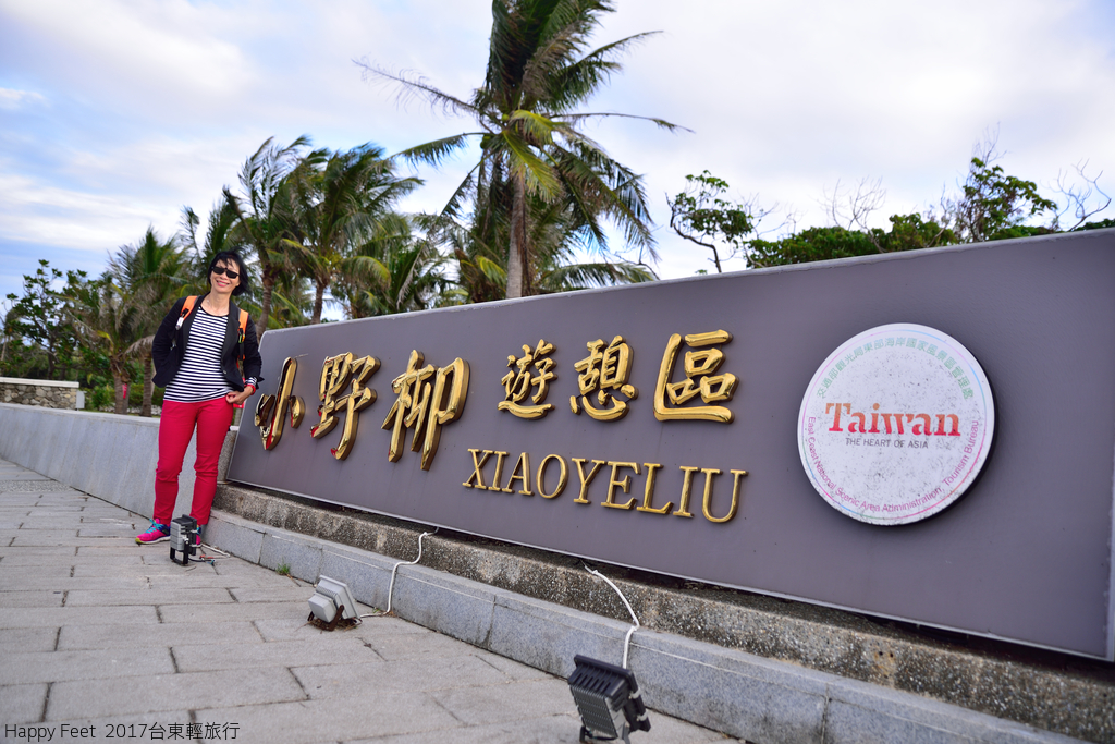 DSC_2655_404.JPG - 2017 台東輕旅行