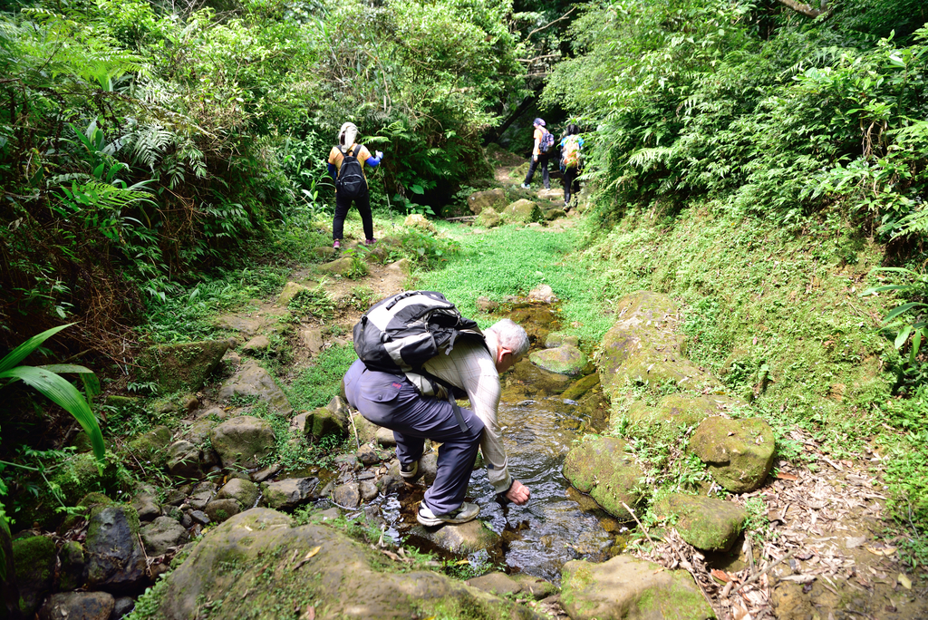 DSC_6299_2480.JPG - 2018平溪孝子山