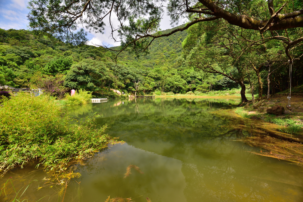 DSC_0991_4954.JPG - 2019新山夢湖